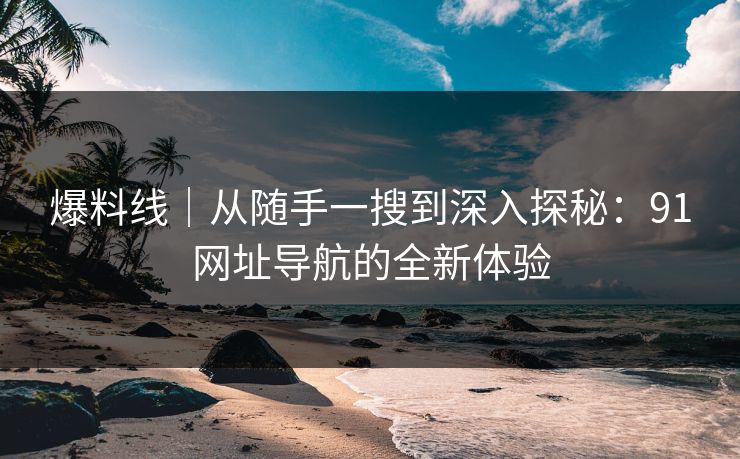 爆料线｜从随手一搜到深入探秘：91网址导航的全新体验